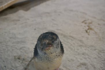 AOAO SAPPOROに投稿された画像（2025/7/2）