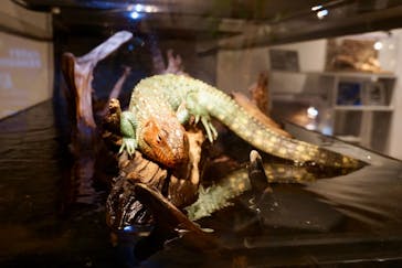 AOAO SAPPOROに投稿された画像（2025/7/2）