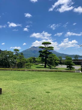 仙巌園に投稿された画像（2025/7/2）