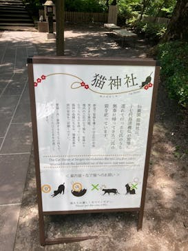 仙巌園に投稿された画像（2025/7/2）