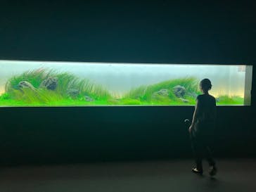 AOAO SAPPOROに投稿された画像（2025/7/2）