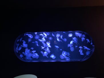 AOAO SAPPOROに投稿された画像（2025/7/2）