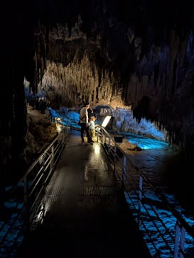 おきなわワールドに投稿された画像（2025/7/2）