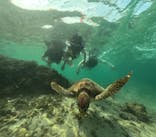 Nami宮古島に投稿された画像（2025/7/2）