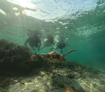 Nami宮古島に投稿された画像（2025/7/2）