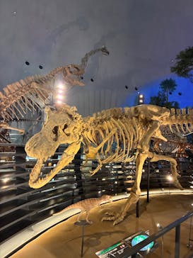 福井県立恐竜博物館に投稿された画像（2025/7/2）