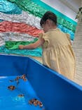 いきもの探検隊湘南に投稿された画像（2025/7/2）