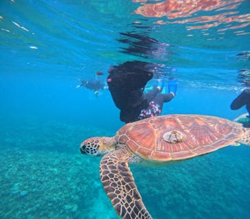 アイナ石垣島に投稿された画像（2025/7/2）