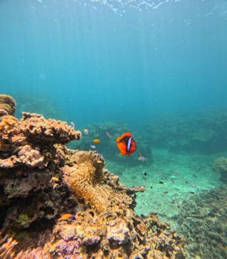 アイナ石垣島に投稿された画像（2025/7/2）