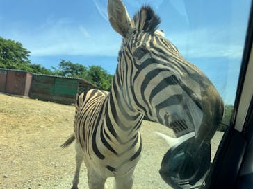 東北サファリパークに投稿された画像（2025/7/2）