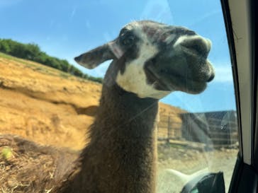 東北サファリパークに投稿された画像（2025/7/2）