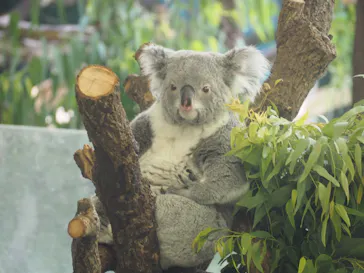 多摩動物公園に投稿された画像（2025/7/2）