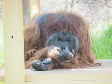 多摩動物公園に投稿された画像（2025/7/2）