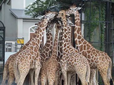 多摩動物公園に投稿された画像（2025/7/2）