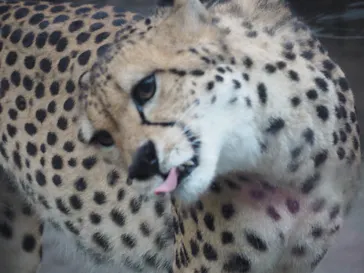 多摩動物公園に投稿された画像（2025/7/2）