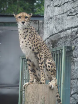 多摩動物公園に投稿された画像（2025/7/2）