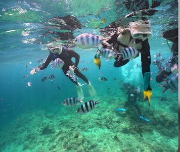 武藤潜水に投稿された画像（2025/7/3）