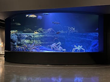 竹島水族館に投稿された画像（2025/7/3）