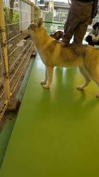 つくばわんわんランドに投稿された画像（2025/7/3）