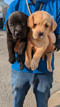 つくばわんわんランドに投稿された画像（2025/7/3）