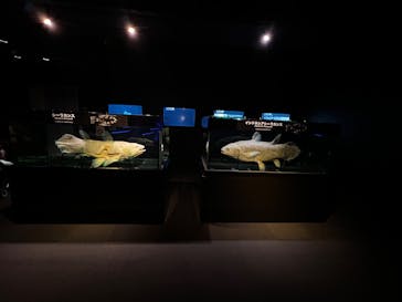 環境水族館アクアマリンふくしまに投稿された画像（2025/7/3）