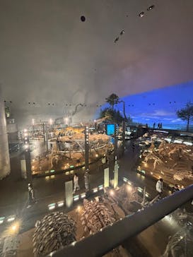 福井県立恐竜博物館に投稿された画像（2025/7/3）