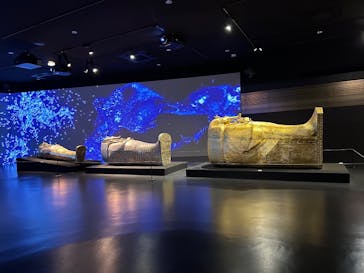 IMMERSIVE JOURNEYに投稿された画像（2025/7/3）