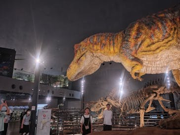 福井県立恐竜博物館に投稿された画像（2025/7/3）