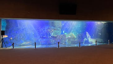 大分マリーンパレス水族館 「うみたまご」に投稿された画像（2025/7/3）