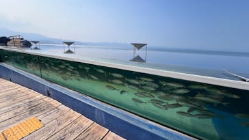 大分マリーンパレス水族館 「うみたまご」に投稿された画像（2025/7/3）