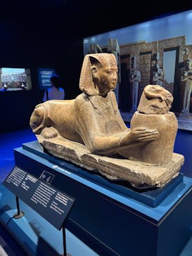 ACN ラムセス大王展 ファラオたちの黄金に投稿された画像（2025/7/3）