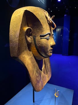 ACN ラムセス大王展 ファラオたちの黄金に投稿された画像（2025/7/3）