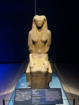 ACN ラムセス大王展 ファラオたちの黄金に投稿された画像（2025/7/3）