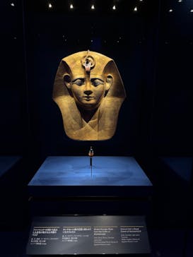 ACN ラムセス大王展 ファラオたちの黄金に投稿された画像（2025/7/3）