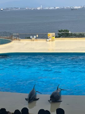 マリンワールド海の中道に投稿された画像（2025/7/3）