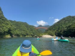 屋久島フィールド情報センターに投稿された画像（2025/7/3）