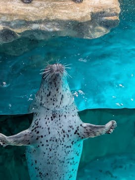 アクアワールド茨城県大洗水族館に投稿された画像（2025/7/3）