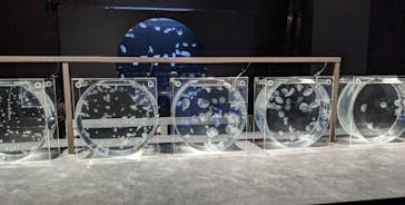 AOAO SAPPOROに投稿された画像（2025/7/3）