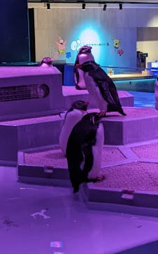 AOAO SAPPOROに投稿された画像（2025/7/3）