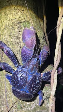 初心者専門宮古島シュノーケリングツアーに投稿された画像（2025/7/3）