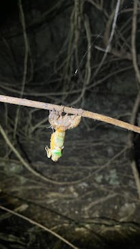 初心者専門宮古島シュノーケリングツアーに投稿された画像（2025/7/3）