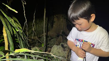 初心者専門宮古島シュノーケリングツアーに投稿された画像（2025/7/3）