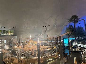 福井県立恐竜博物館に投稿された画像（2025/7/4）