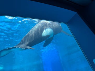 名古屋港水族館に投稿された画像（2025/7/4）