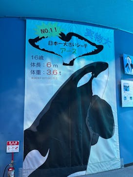 名古屋港水族館に投稿された画像（2025/7/4）