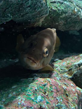 名古屋港水族館に投稿された画像（2025/7/4）