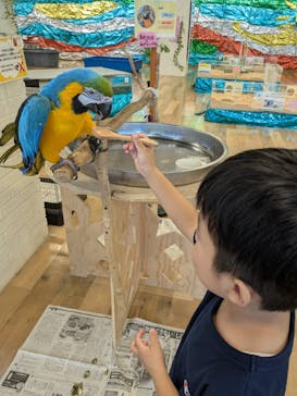 いきもの探検隊湘南に投稿された画像（2025/7/4）