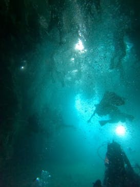 武藤潜水に投稿された画像（2025/7/4）