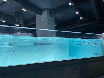 AOAO SAPPOROに投稿された画像（2025/7/4）