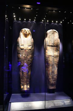 ACN ラムセス大王展 ファラオたちの黄金に投稿された画像（2025/7/4）